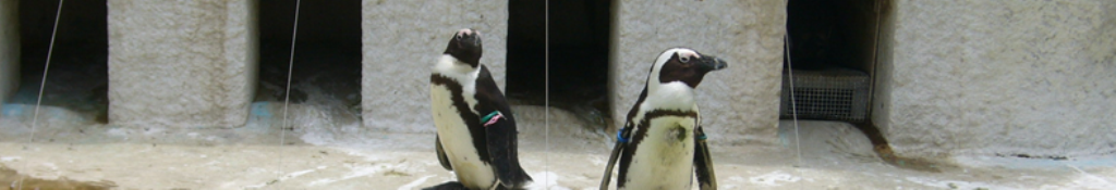 ビーズクッションにこんな事実が！！