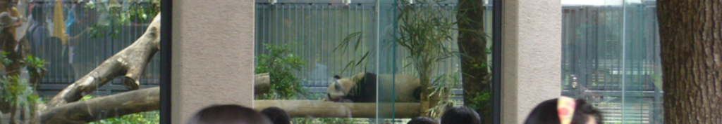 リボンについて